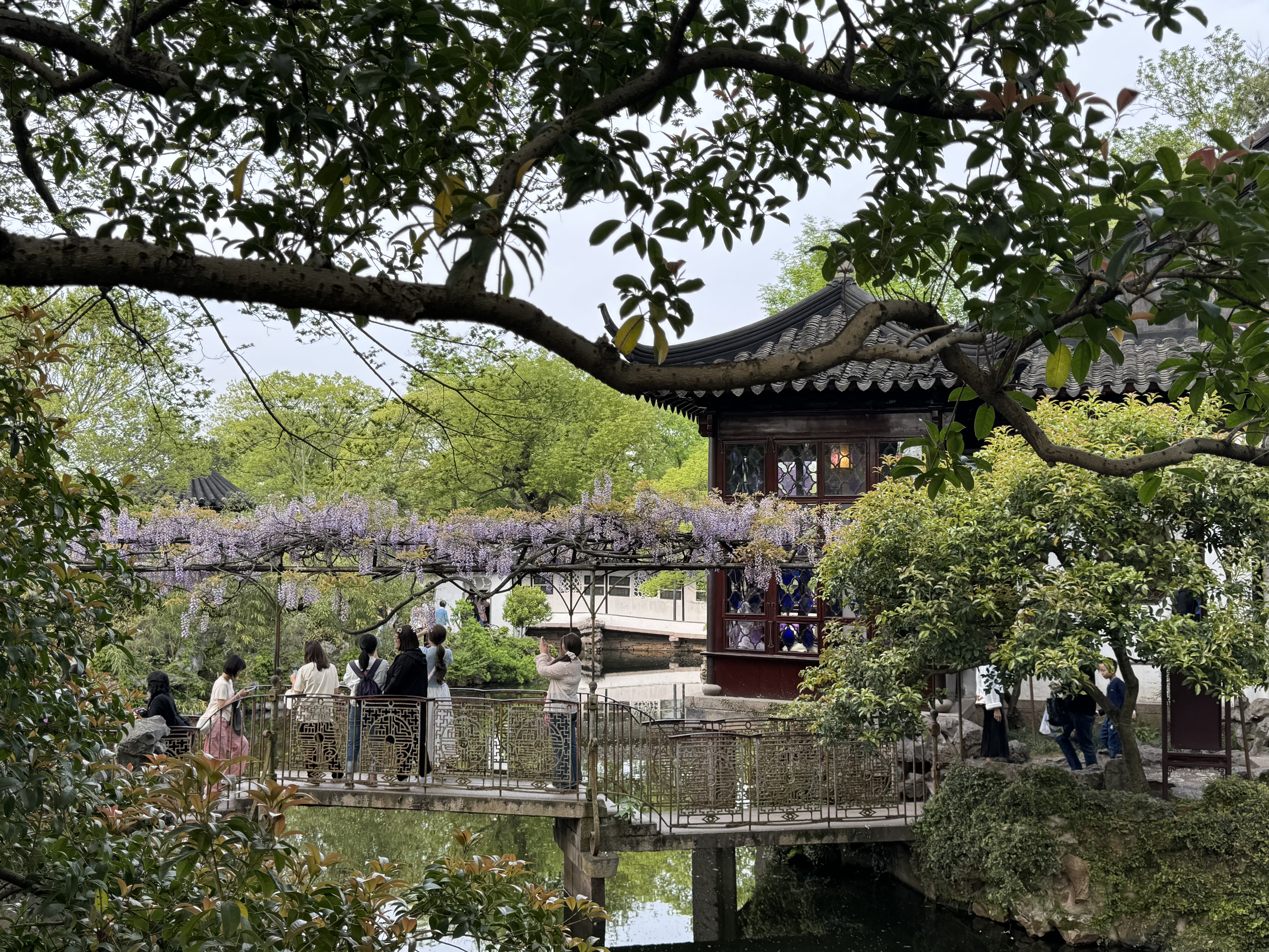 IMG_1480.jpeg