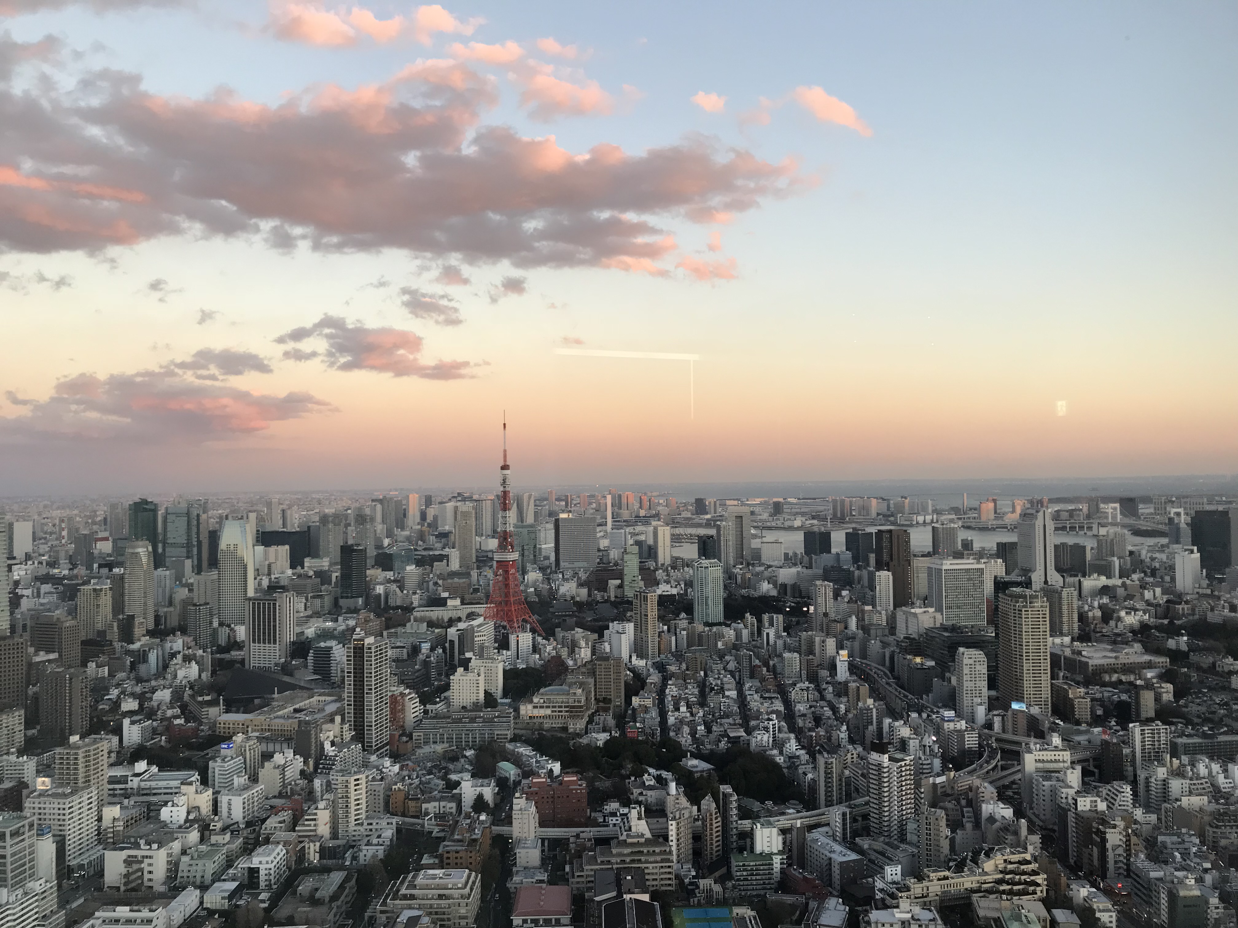 IMG_4890.jpeg